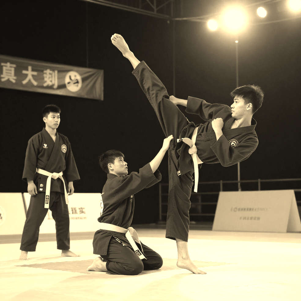 Võ thuật không phải một môn: khoảng trống dữ liệu trong phân tích chấn thương Võ thuật không phải một môn: khoảng trống dữ liệu trong phân tích chấn thương