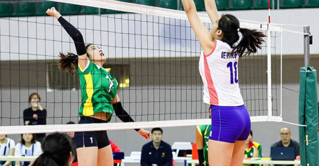 Bóng chuyền nữ Việt Nam: Giải mã bước chuyển từ phòng thủ phản xạ sang phản công có tổ chức