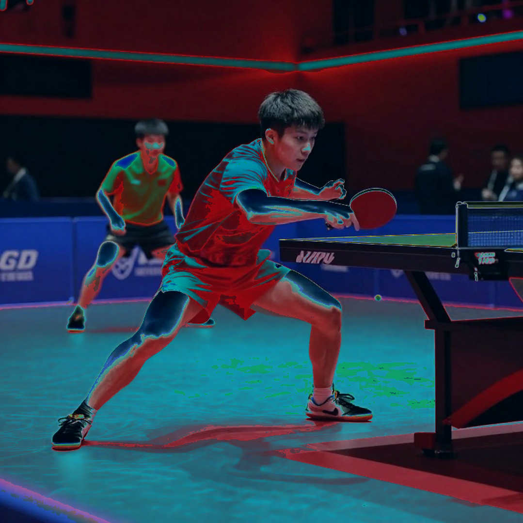 WTT Champions Macao 2026: Anna Hursey, Tom Jarvis và khoảng cách thật với tuyển Nhật