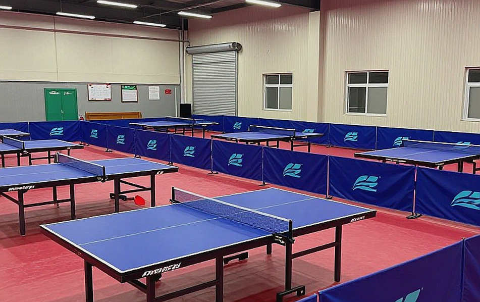 Bản báo cáo trống trong kỳ chuyển nhượng: mười hai phần trăm và niềm tin mù quáng vào hệ thống